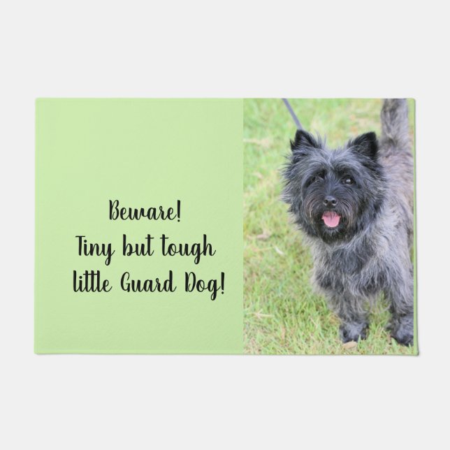 Tapete Feliz (Frente)