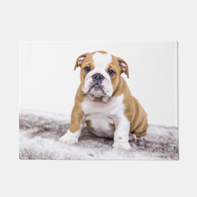 Tapete Filhote de Bulldog Fofo (Frente)