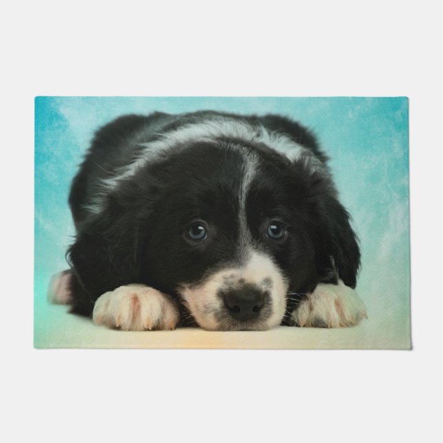 Tapete Filhote de cachorro de border collie (Frente)
