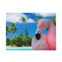 Flamingo e praia