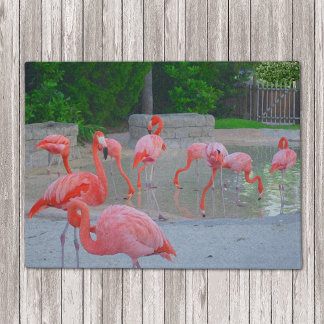 Tapete Flamingos Watercolor, cor-de-rosa, na Flórida