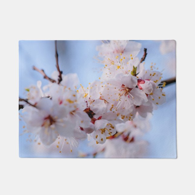Tapete Flor Apricot Japonês (Frente)