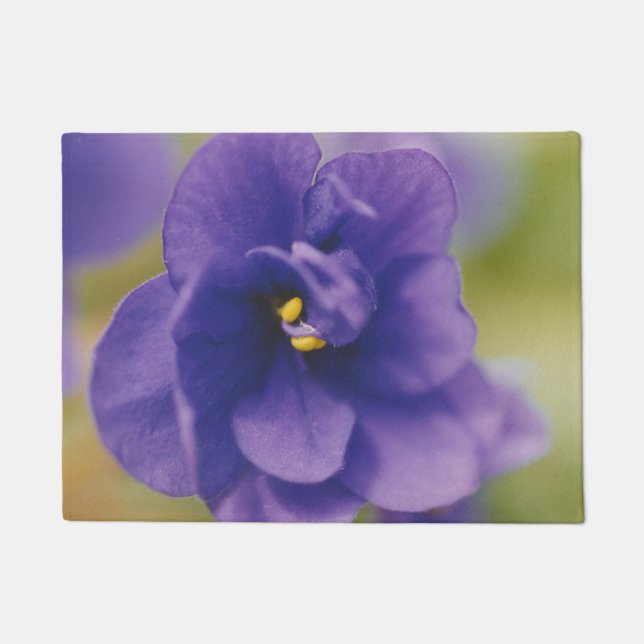 Tapete Flor Azul Sangrando de Violet Saintpaulia Zoomed (Frente)