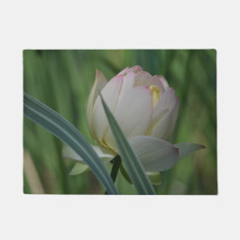 Tapete Flor de Lotus