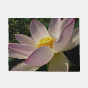 Tapete Flor de Lotus Cor Rosa III Verão Floral