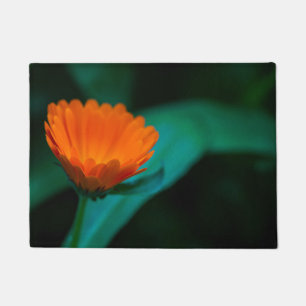 Tapete Flor de margarida laranja