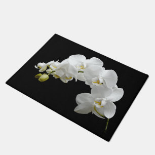 Tapete Flor de Orquídea Branca