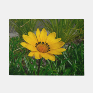 Tapete Flor Gazania