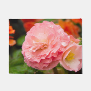 Tapete Flor rosa delicada após a chuva