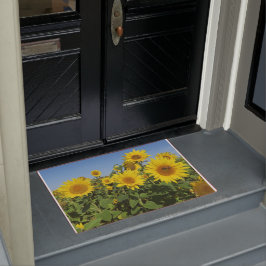 Tapete flor, sol, planta, natureza, verão, floral,