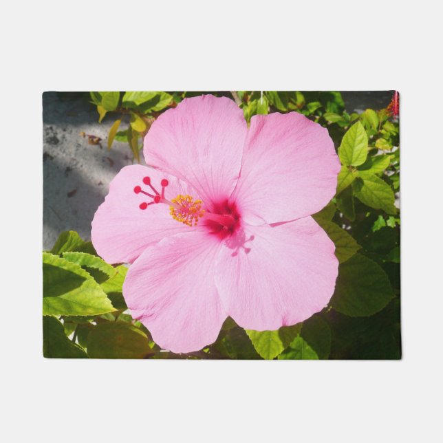Tapete Flor Tropical de Hibiscus Rosa (Frente)