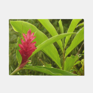 Tapete Flor Vermelho Ginger (Alpinia)