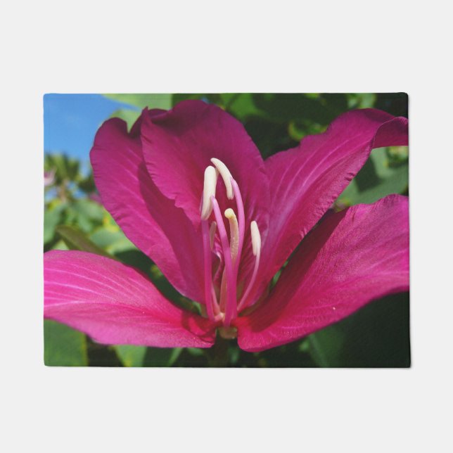 Tapete Floral Tropical do Flor de Árvore Orquídea (Frente)