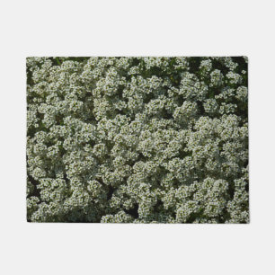 Tapete Flores de Alyssum Doce Floral Branco