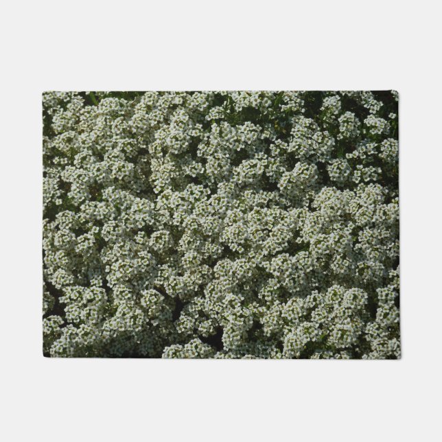 Tapete Flores de Alyssum Doce Floral Branco (Frente)