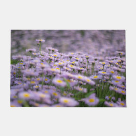 Tapete Flores de Aster Roxo