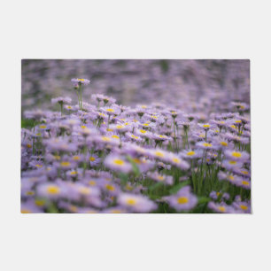 Tapete Flores de Aster Roxo