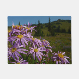 Tapete Flores de Aster Roxo no Monte Rainier