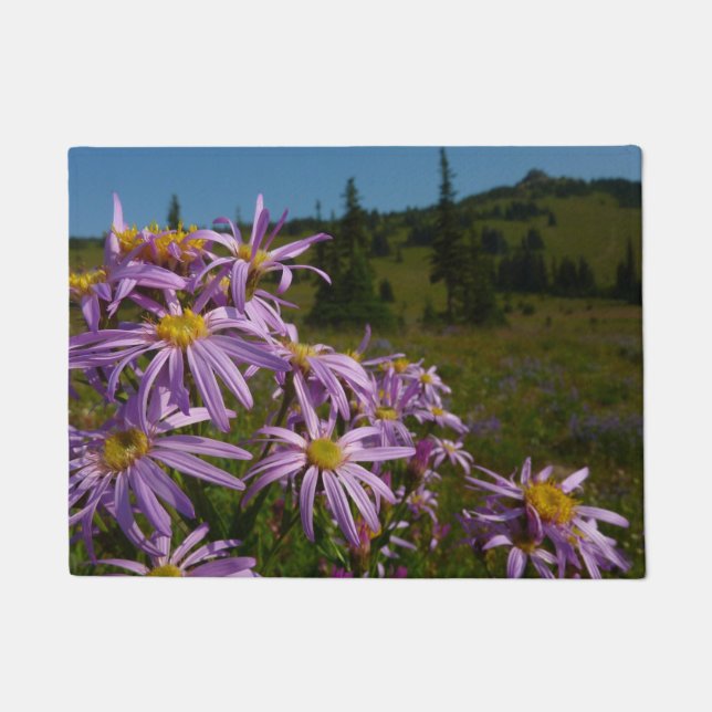 Tapete Flores de Aster Roxo no Monte Rainier (Frente)
