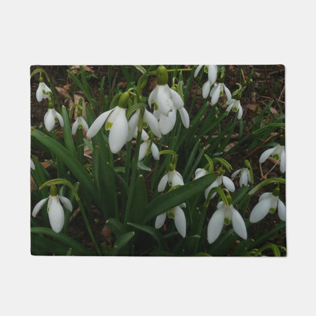Tapete Flores de primavera Brancas I (Galanthus) (Frente)