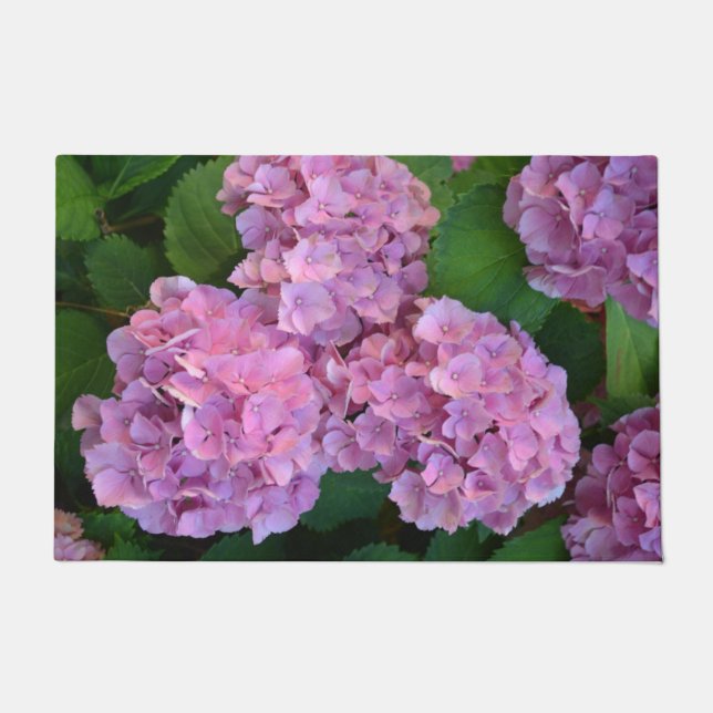 Tapete Flores rosa pastel Hortensia hydrangea (Frente)