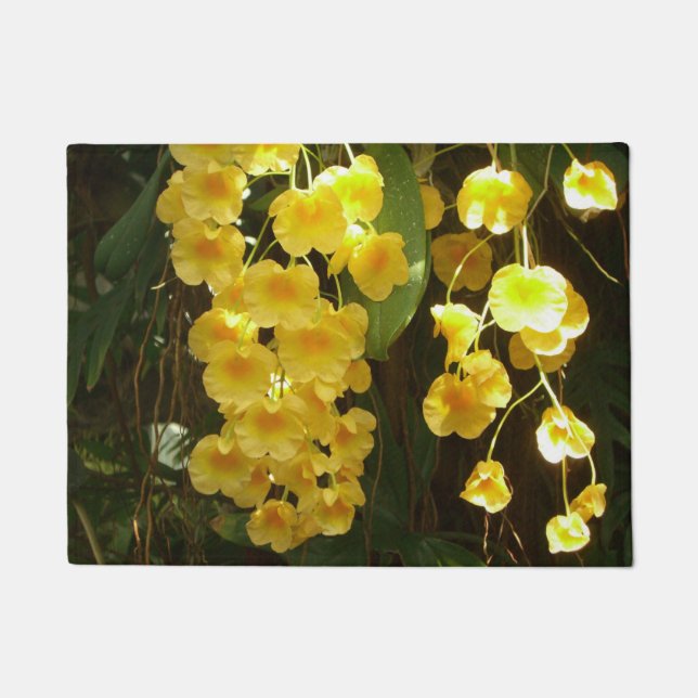 Tapete Flores Tropicais das Orquídeas Amarelas de Pé (Frente)