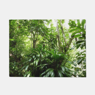 Tapete Floresta Dominicana I Natureza Verde Tropical
