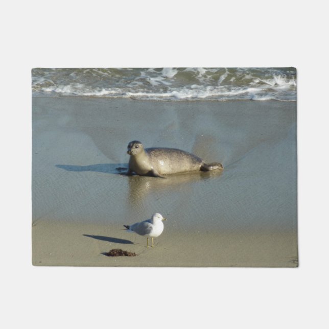 Tapete Foca-comum em La Jolla Califórnia (Frente)