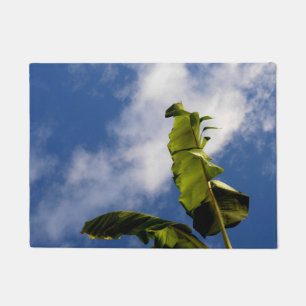 Tapete Folhas da árvore da banana