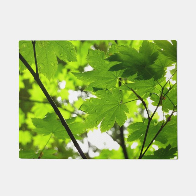 Tapete Folhas de Maple com Gotas de Rainha (Frente)