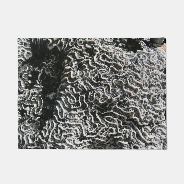 Tapete Foto da natureza do Abstrato Black and White Coral (Frente)