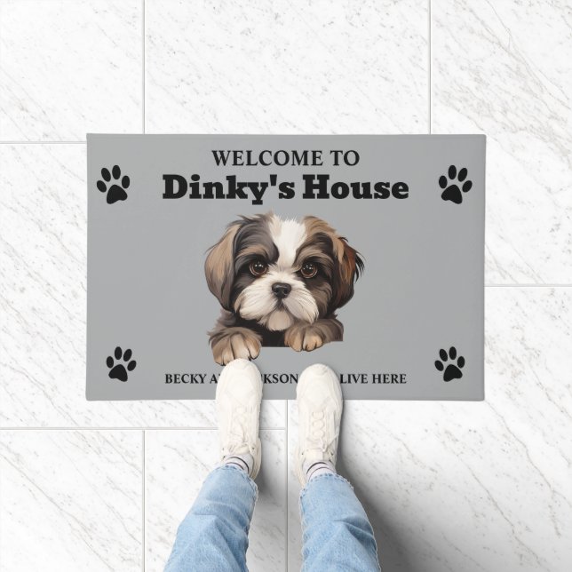 Tapete Foto de cachorro fofo da raça Shih Tzu (Interior)