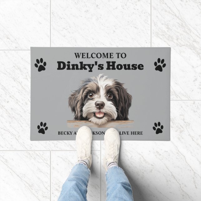 Tapete Foto de Cão-de-Água Cute Havanese (Interior)