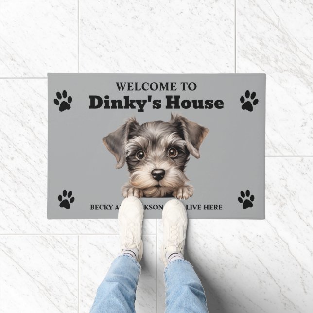 Tapete Foto de Cão Schanuzer, Miniatura Fofa (Interior)