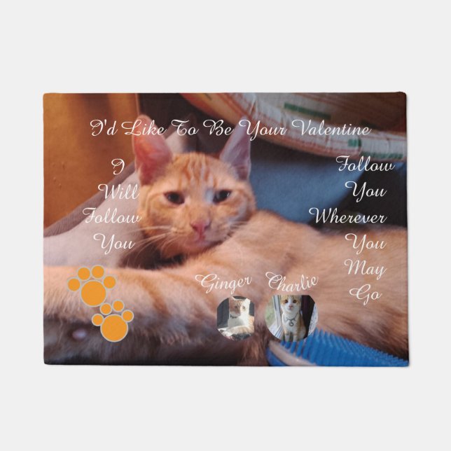 Tapete Foto de gato com pegada de pata humorística para o (Frente)