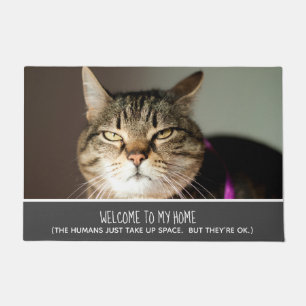 Tapete Foto de Gato Engraçado Bem-vinda aos meus humanos