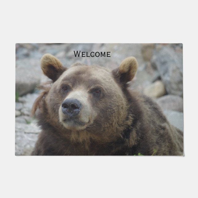 Tapete Foto de Urso Kodiak com Closeup do Rosto (Frente)