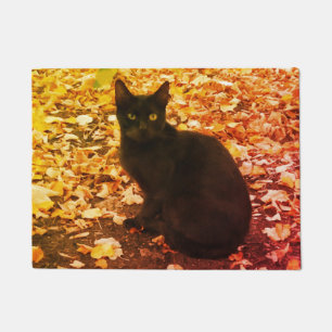 Tapete Foto do gato preto