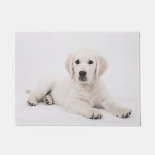 Tapete Foto do Golden Retriever