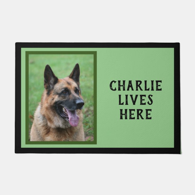 Tapete Foto e nome do seu cachorro, fundo verde (Frente)