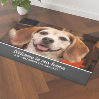 Tapete Foto Engraçada De Cachorro Você Trouxe Cinzas De B