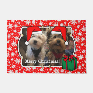 Tapete Foto personalizada Santa Hat Pet HO HO