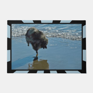 Tapete Fotografia de Ballet de Keeshond - Arte Original d