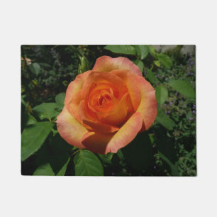 Tapete Fotografia Floral Laranja Peach Rosa