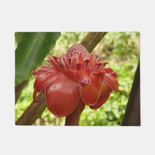 Tapete Fotografia Tropical do Flor Vermelho Torch Ginger