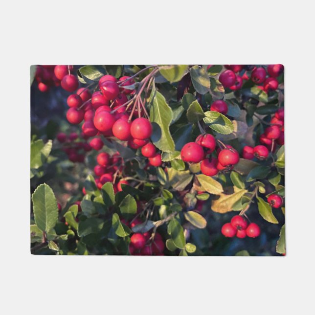 Tapete Fruta de outono (Frente)