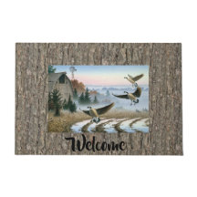 Gansos No Campo Da Fazenda