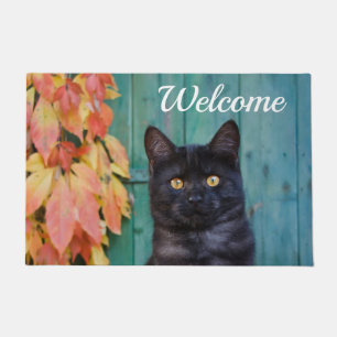 Tapete Gatinho Preto Cinto Vermelho Deixa Porta Azul Bem-