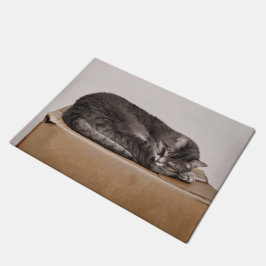 Tapete Gato De Gato De Gato De Comprimido Gelado Que Dorm