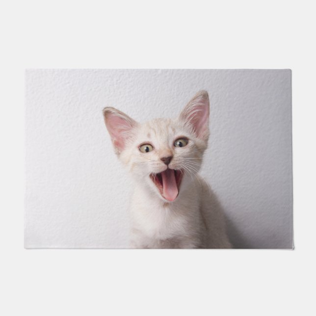 Tapete Gato Engraçado (Frente)
